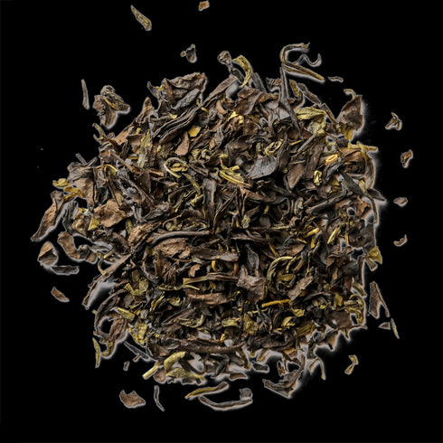 Free Tea Samples